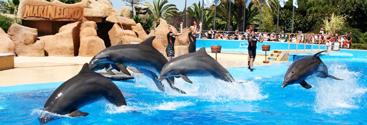 Sejour à Marineland antibes